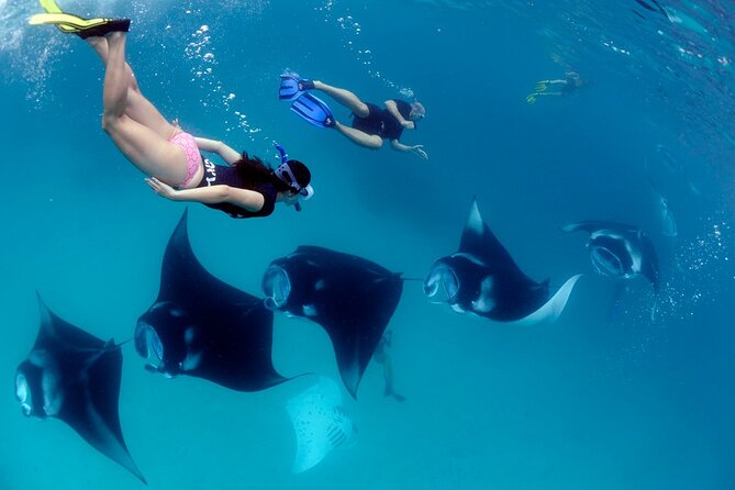 VIP Private Boat to Nusa Penida: Snorkeling with Mantas + Land Tour Adventure - What $849 per person really buys