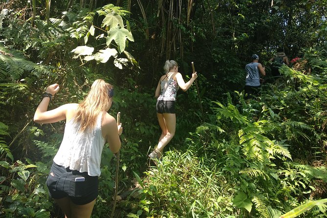 volcano hike and jungle trekking adventure - Is the $76.89 Price Good Value?