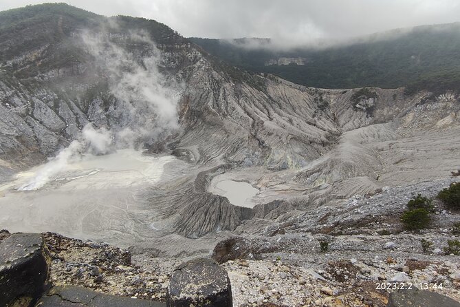 Volcano, Hot Spring, Tea Factory, rice fields and Coffee Tour - From Jakarta to the farms of Subang