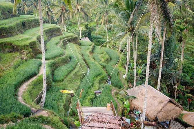 Water Rafting adventure with Jungle Swing & rice terraces - What the $36 price really covers