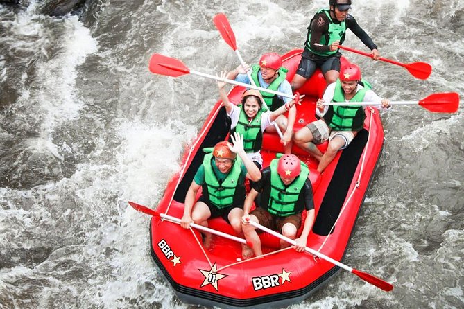 Water Rafting adventure with Jungle Swing & rice terraces - What the rafting portion demands