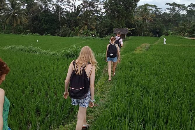 Waterfall Tour And Sasak Traditional Tour - Who will enjoy this tour most
