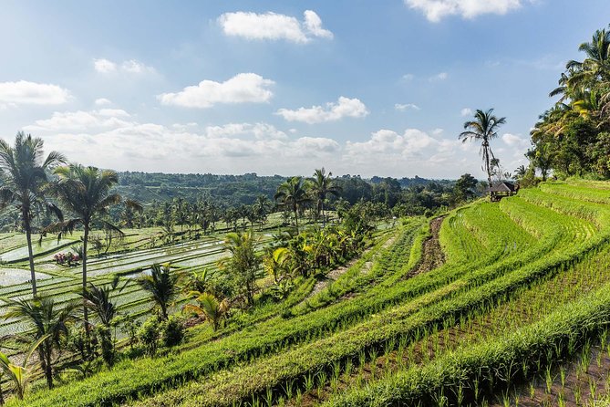 West Bali Tour: Taman Ayun, Ulun Danu Beratan, Jatiluwih Rice Terrace, Tanah Lot - How Much Value Do You Get for $45?