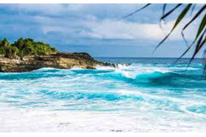 West Nusa Penida Full-Day Private Tour - What the $99 price really buys you