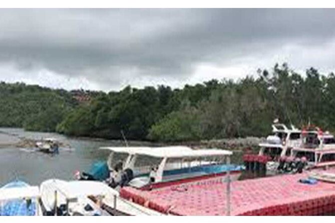 West Nusa Penida Full-Day Private Tour - The private car and the quality of the guiding