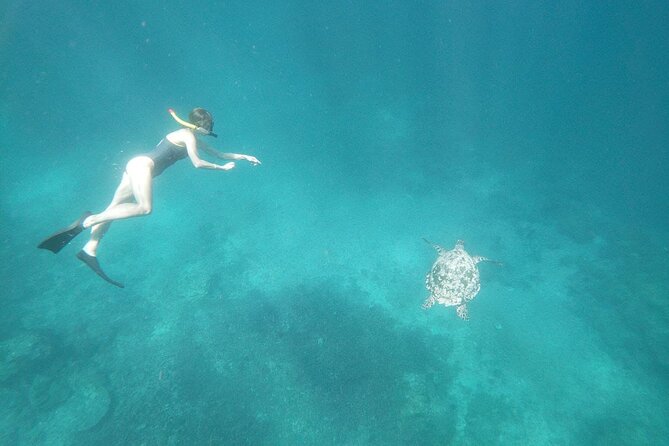West Nusa Penida With Snorkeling Private Guided Tour - The early start and fast boat crossing