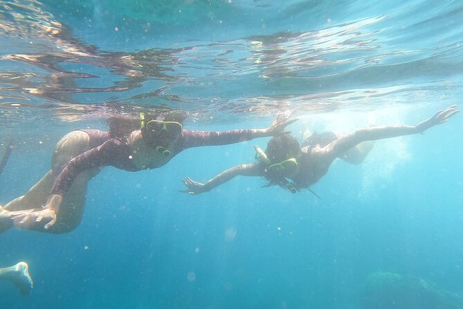 West Nusa Penida With Snorkeling Private Guided Tour - Gamat Bay: coral, fish, and a simple hands-on moment