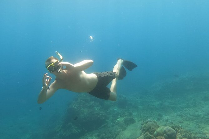 West Nusa Penida With Snorkeling Private Guided Tour - Crystal Bay: turtles, coral, and the end of the water route