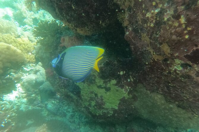 West Nusa Penida With Snorkeling Private Guided Tour - Angel’s Billabong: a natural pool with a safety caveat