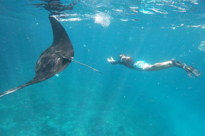 West Nusa Penida With Snorkeling Private Guided Tour - Manta Point: wildlife with no guarantee