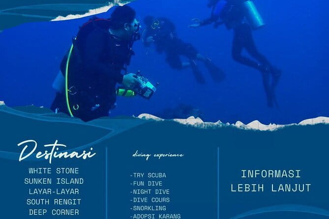 Whale Shark Adventure 2 Days 1 Night Sharing Trip - What the shared format really means